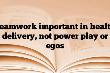 Teamwork important in health delivery, not power play or egos