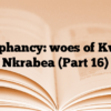 Sycophancy: woes of Kwaku Nkrabea (Part 16)