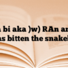 Aboa bi aka )w) [An animal has bitten the snake]?